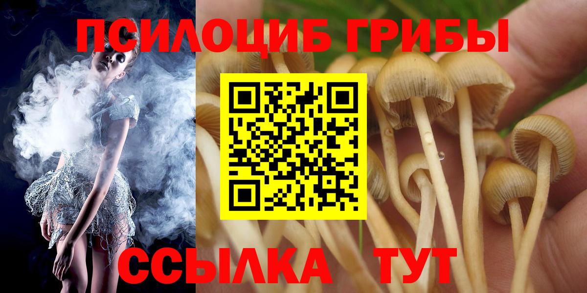 Сургут  Галлюциногенные грибы MAGIC MUSHROOMS  Вход с VPN 